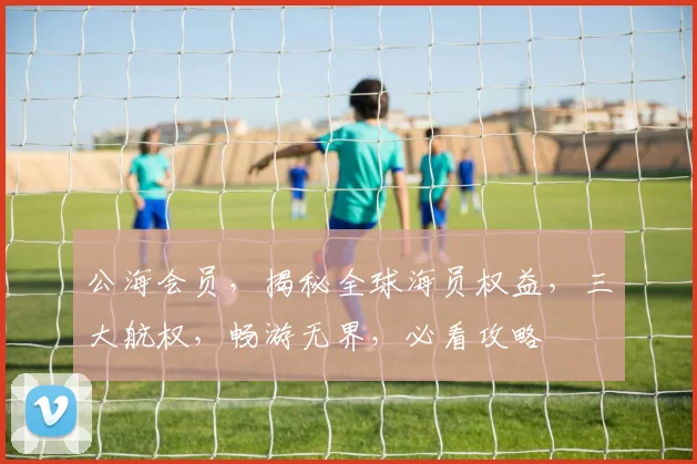 公海会员，揭秘全球海员权益，三大航权，畅游无界，必看攻略